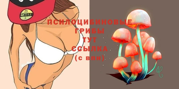 дмт Бугульма